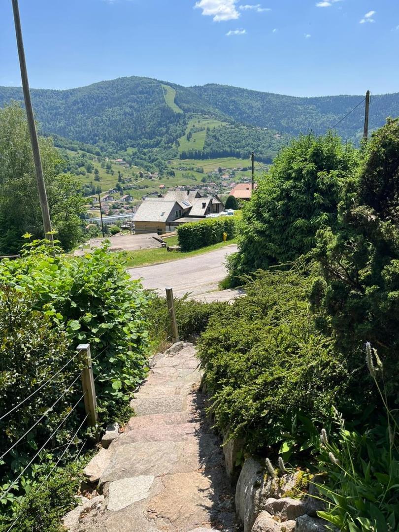 Chalet Bois Vue Panoramique : 2 Logements Et Sauna 뷔쌍 외부 사진
